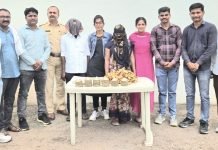 मंदिरातील 28 पितळी टाळ चोरीप्रकरणी दोघे अटकेत, नेवासा पोलिसांची तत्पर कारवाई