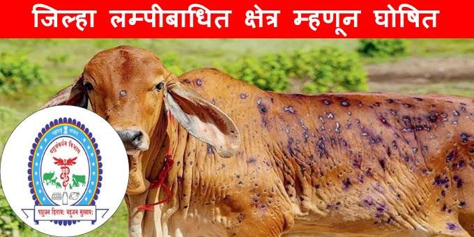 लंम्पी बाधित