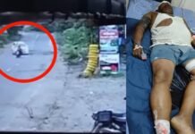 रस्त्यावरील खड्डे चुकवण्यासाठी भरधाव इनोव्हाने लेन बदलली; दुचाकीला समोरून धडक, तिघे गंभीर जखमी