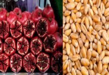 राहाता बाजार समितीत डाळिंबाला तब्बल २०५ रुपयांचा उच्चांकी भाव; वाचा गहु, ज्वारी, सोयाबीन, पेरू आणि सीताफळाचे भाव