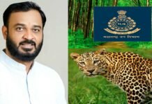 संगमनेरला बिबट्यांच्या दहशतीतून मुक्त करण्यासाठी आमदार अमोल खताळांची झटपट कारवाई!