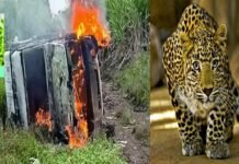 पिंपरखेडमध्ये बिबट्याच्या हल्ल्यात 13 वर्षीय मुलाचा मृत्यू; संतप्त जमावाने वनविभागाचे कार्यालय आणि वाहन पेटवले